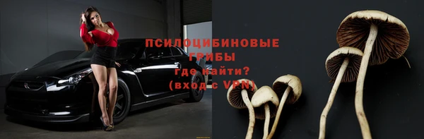 ешки Богородск
