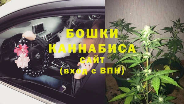 стафф Богородицк