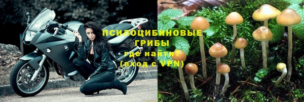 стафф Богородицк
