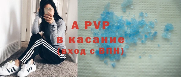 таблы Богданович