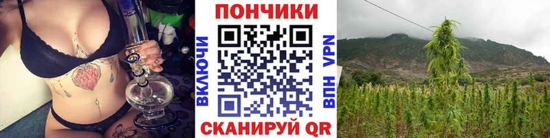 Бошки Шишки марихуана Белый